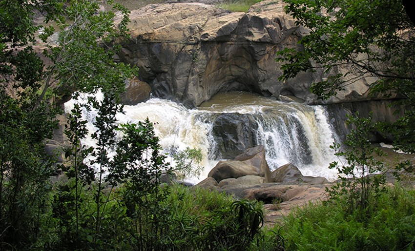 Cataratas en jardín botánico 2