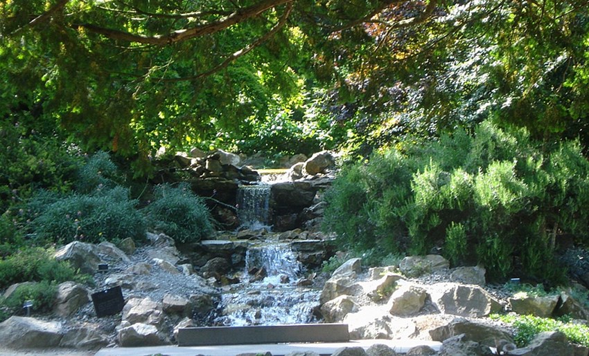 Cataratas en jardín botánico