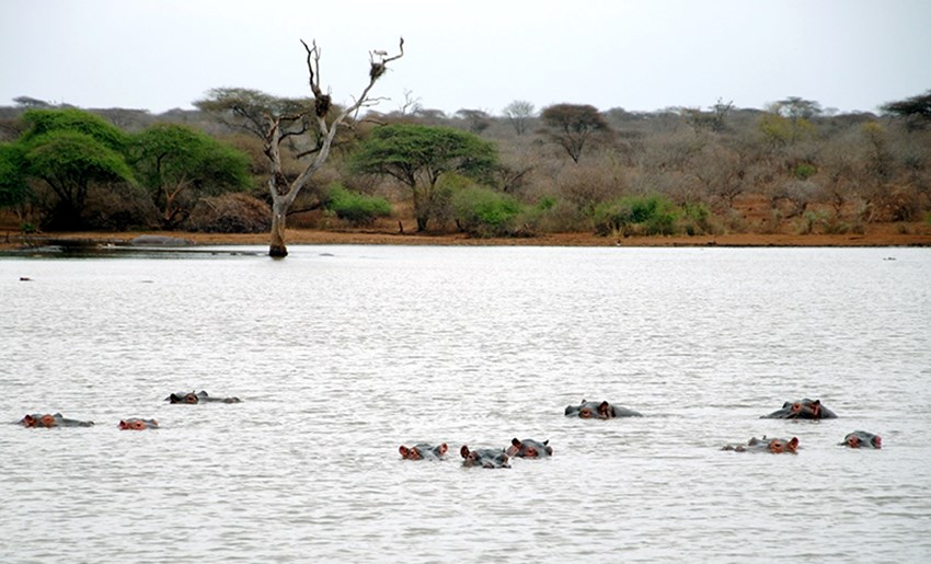 Kruger Park