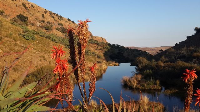 Mpumalanga's Mount Anderson Reserve  - a little known treasure