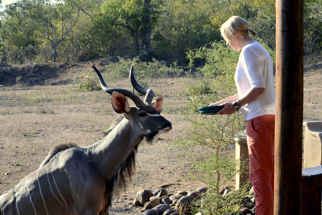 Hillary & kudu