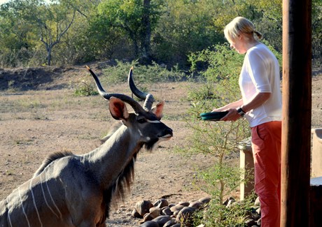 Hillary & kudu