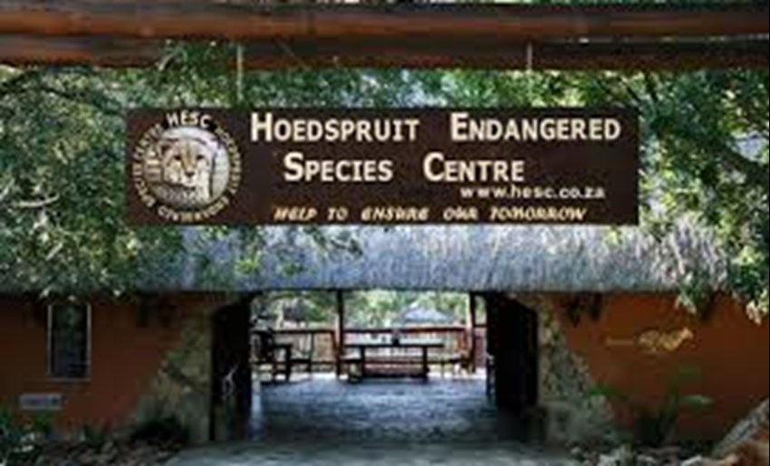 Hoedspruit endangered species centre